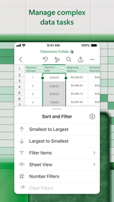 Microsoft Excel