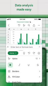 Microsoft Excel