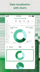 Microsoft Excel